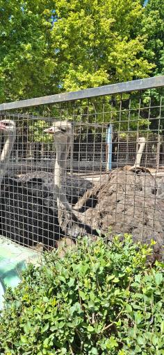 عکس مجتمع فرهنگی گردشگری کوثر 