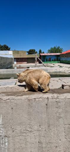 عکس مجتمع فرهنگی گردشگری کوثر 