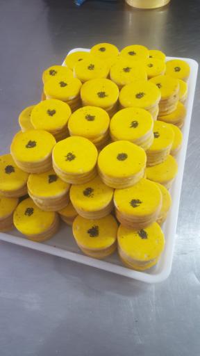 شیرینی شاخه نبات