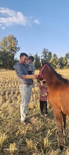 عکس پارک ساحلی