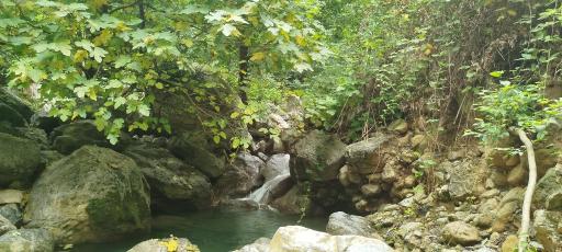 عکس شیرآباد
