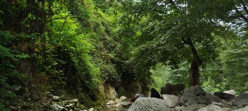 عکس شیرآباد