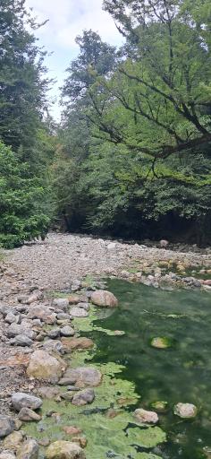 عکس شیرآباد