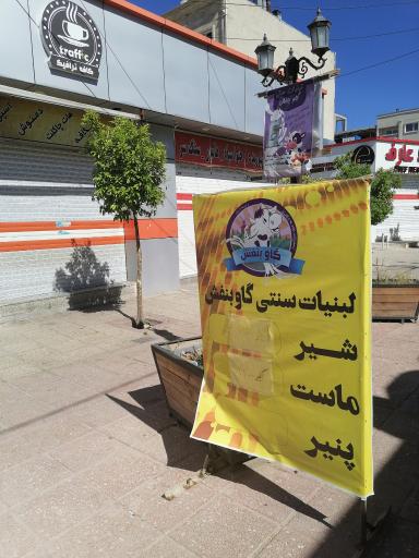 عکس لبنیات سنتی گاو بنفش 