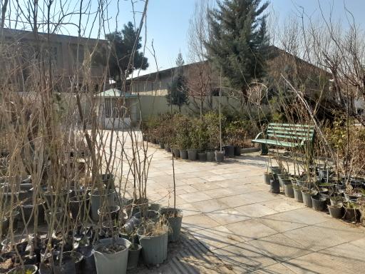 عکس بوستان رییسعلی دلواری