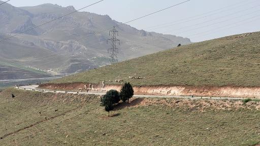 پارک جنگلی سراب قنبر