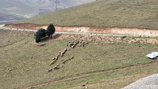 پارک جنگلی سراب قنبر