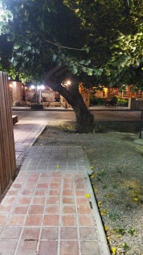 عکس رستوران و فست فوت کروژ
