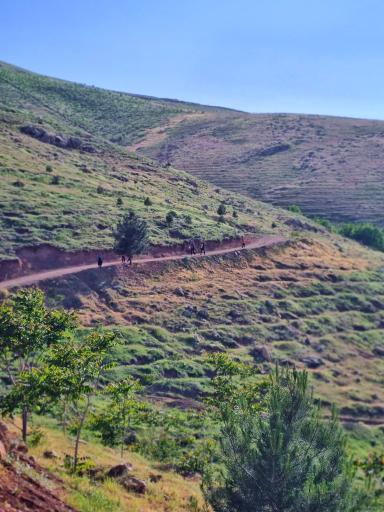 عکس پارک جنگلی سراب قنبر