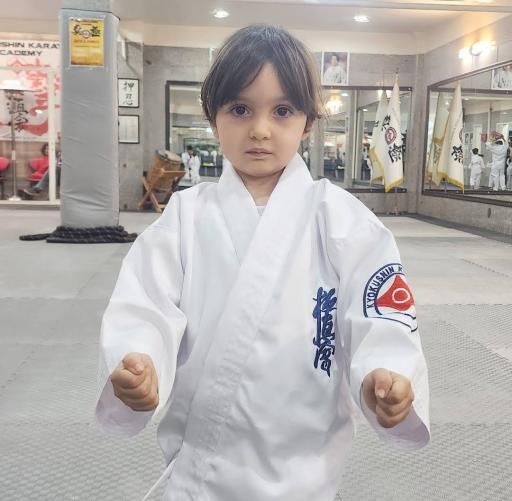 عکس آکادمی کیوکوشین کاراته