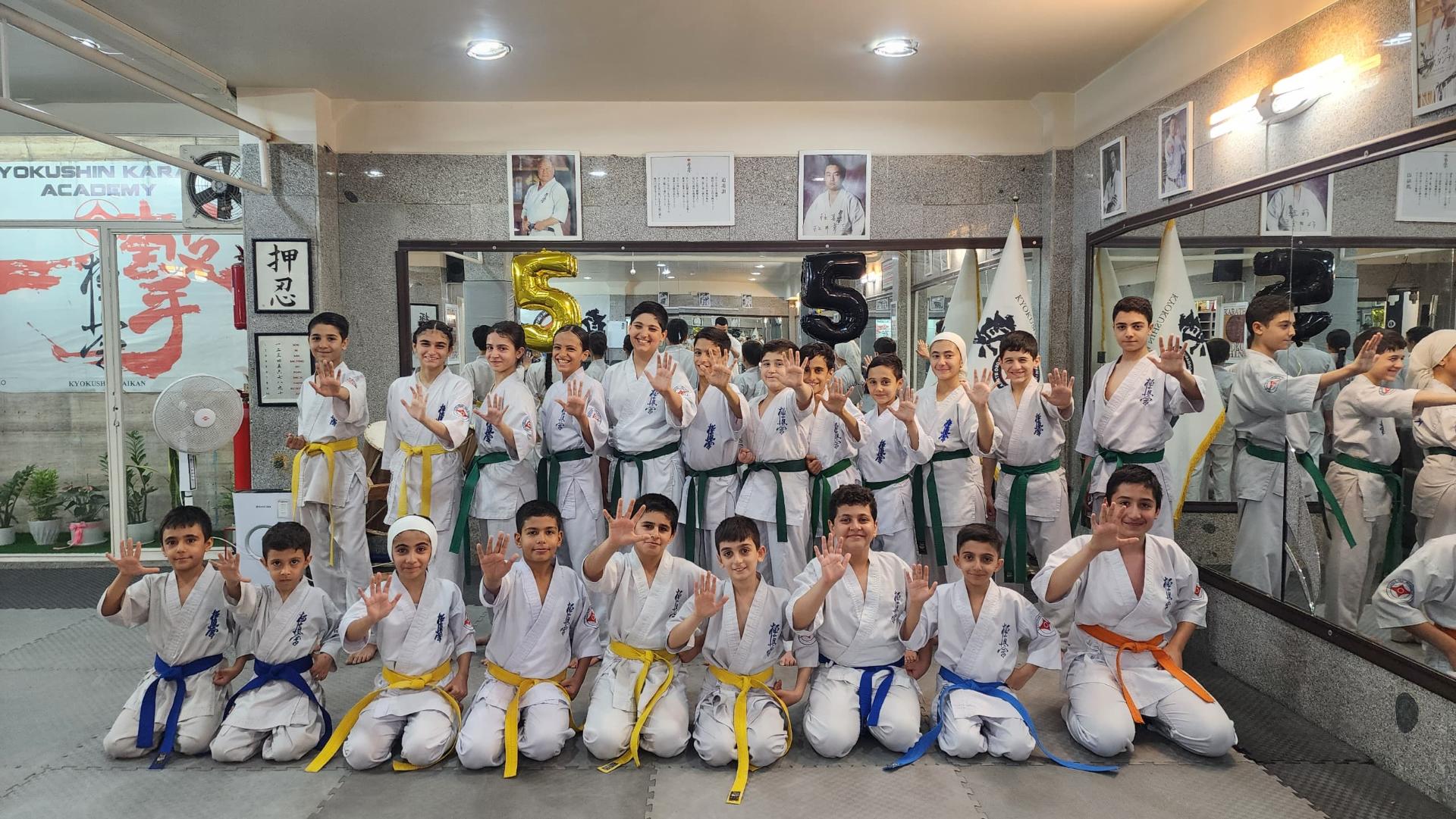 عکس آکادمی کیوکوشین کاراته