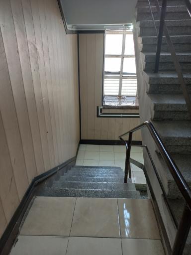 عکس بیمه دانا