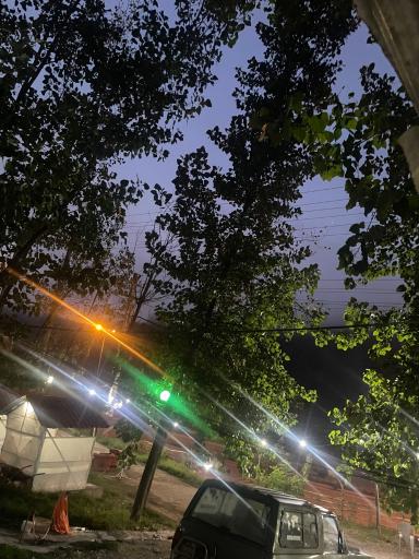 عکس کافه جنگلی صنوبر