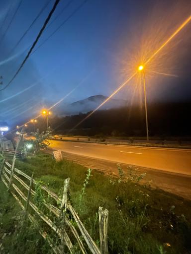 عکس کافه جنگلی صنوبر