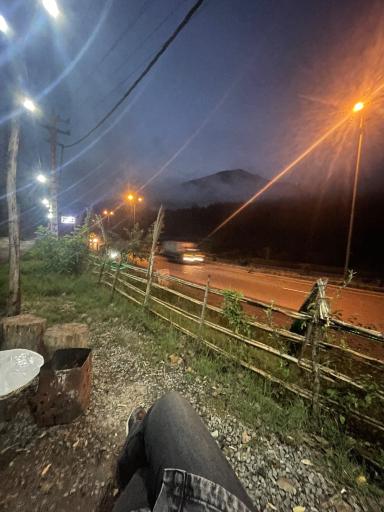 عکس کافه جنگلی صنوبر