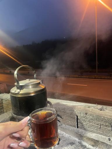 عکس کافه جنگلی صنوبر