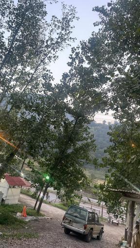 عکس کافه جنگلی صنوبر