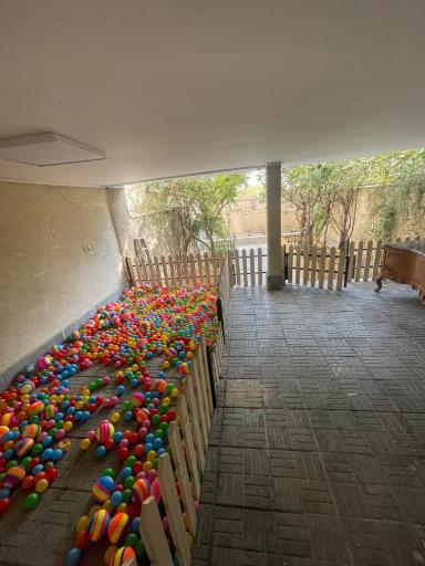 عکس پانسیون سگ و گربه لیموپت ویلایی