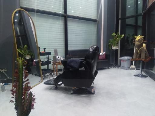 عکس پیرایش استار 