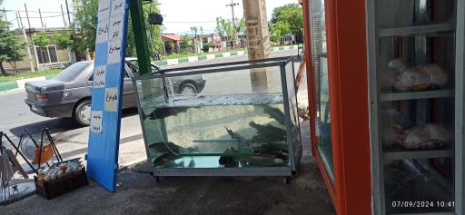 عکس سوپر مرغ و پروتئینی میلاد