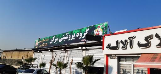 عکس گروه پروتئینی مرکن