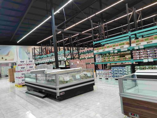 فروشگاه زنجیره ای کاستکو ایران 