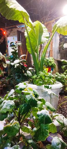 عکس کافه اردیبهشت 