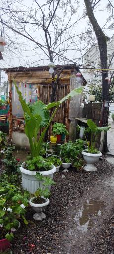 عکس کافه اردیبهشت 