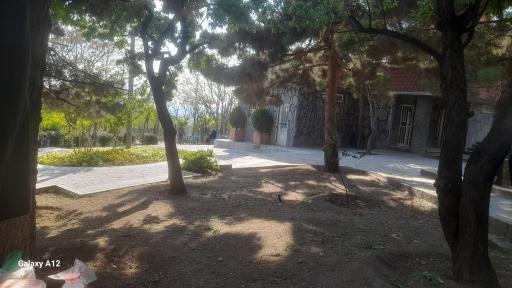 عکس باغ بالا