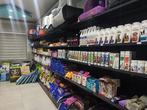 عکس کلینیک دامپزشکی دکتر اسکندری