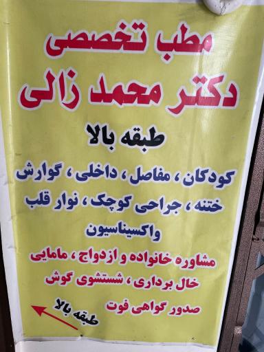 عکس دکتر محمد محمد زالی