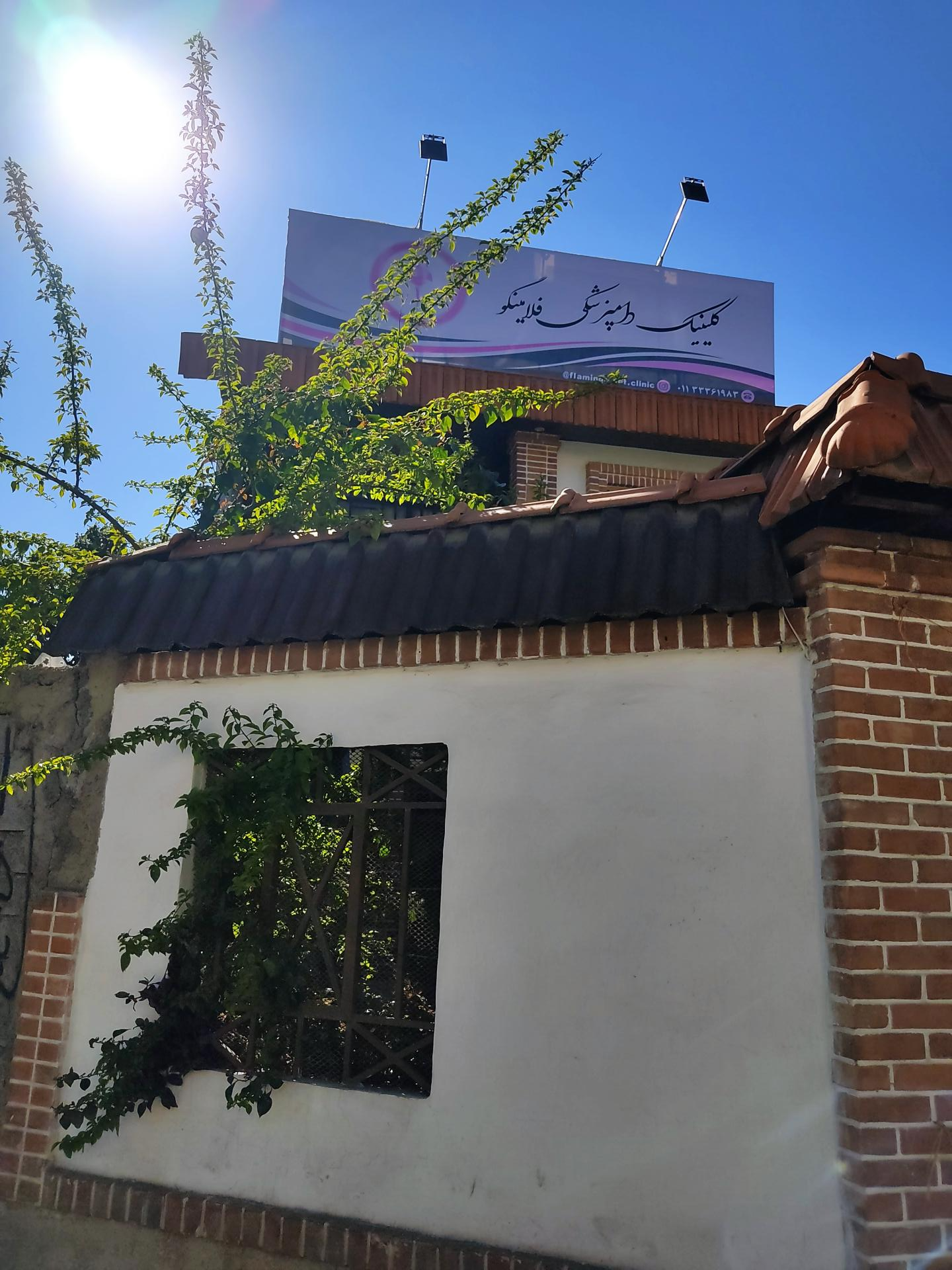 عکس کلینیک دامپزشکی فلامینگو 