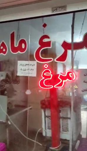 عکس مرغ و ماهی دلپذیر 