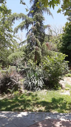 عکس بوستان چوب تراش