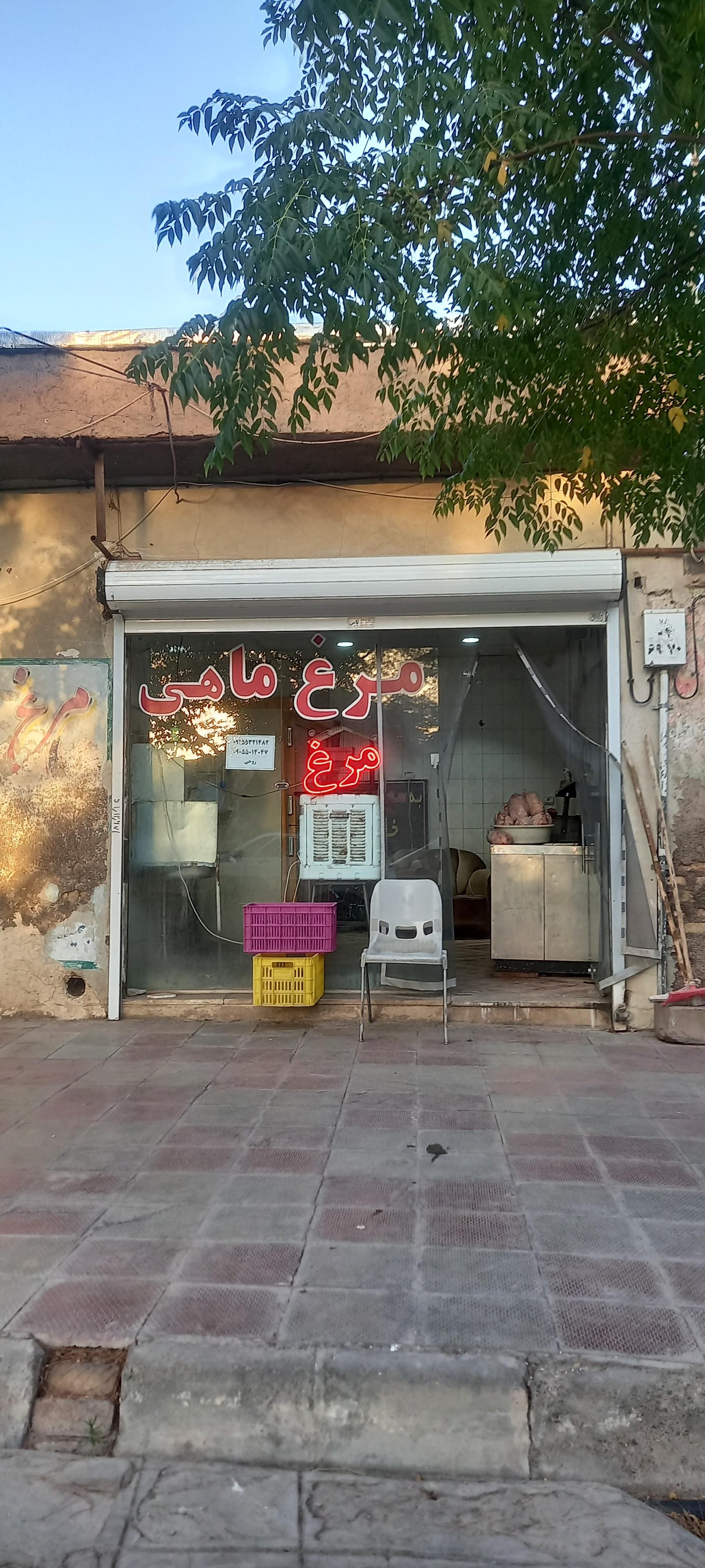 عکس مرغ و ماهی دلپذیر 