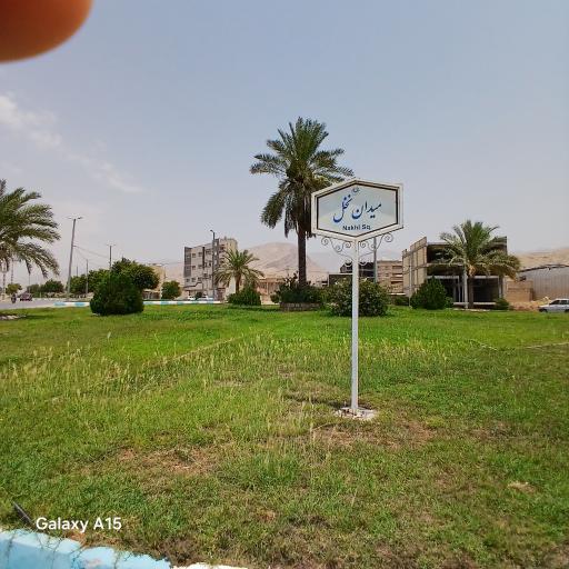 عکس میدان نخل 