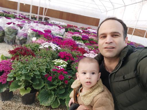 پخش گل رز آرش 