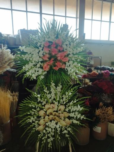 عکس پخش گل رز آرش 