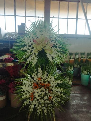 پخش گل رز آرش 