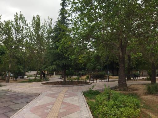 عکس بوستان چوب تراش