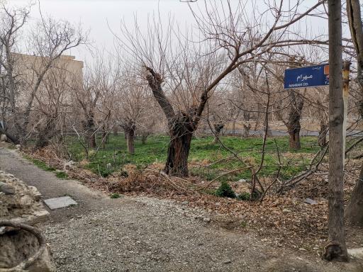 عکس بوستان چوب تراش