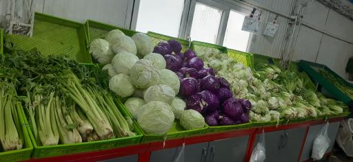 عکس میدان تره بار جلفا