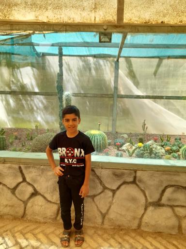 عکس باغ گلها