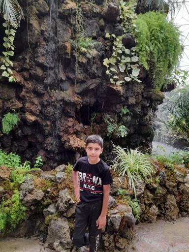 عکس باغ گلها