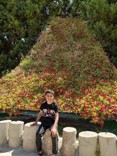 عکس باغ گلها