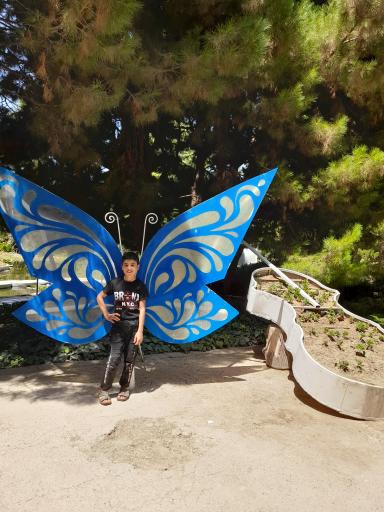 عکس باغ گلها