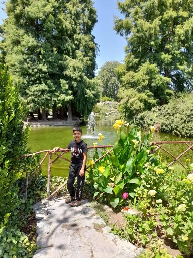 عکس باغ گلها