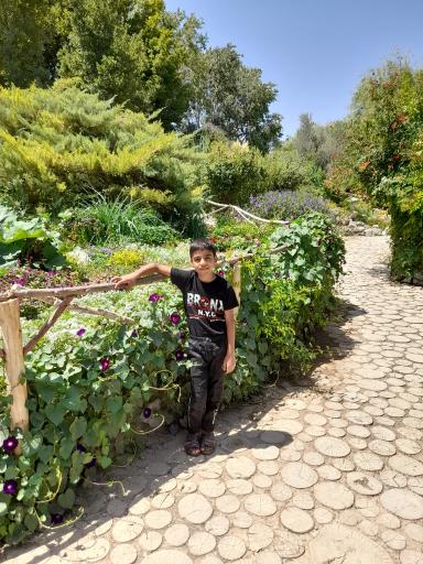 عکس باغ گلها