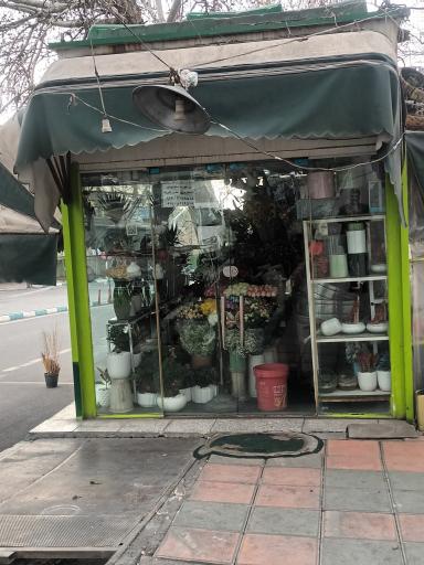 عکس کیوسک گل فروشی