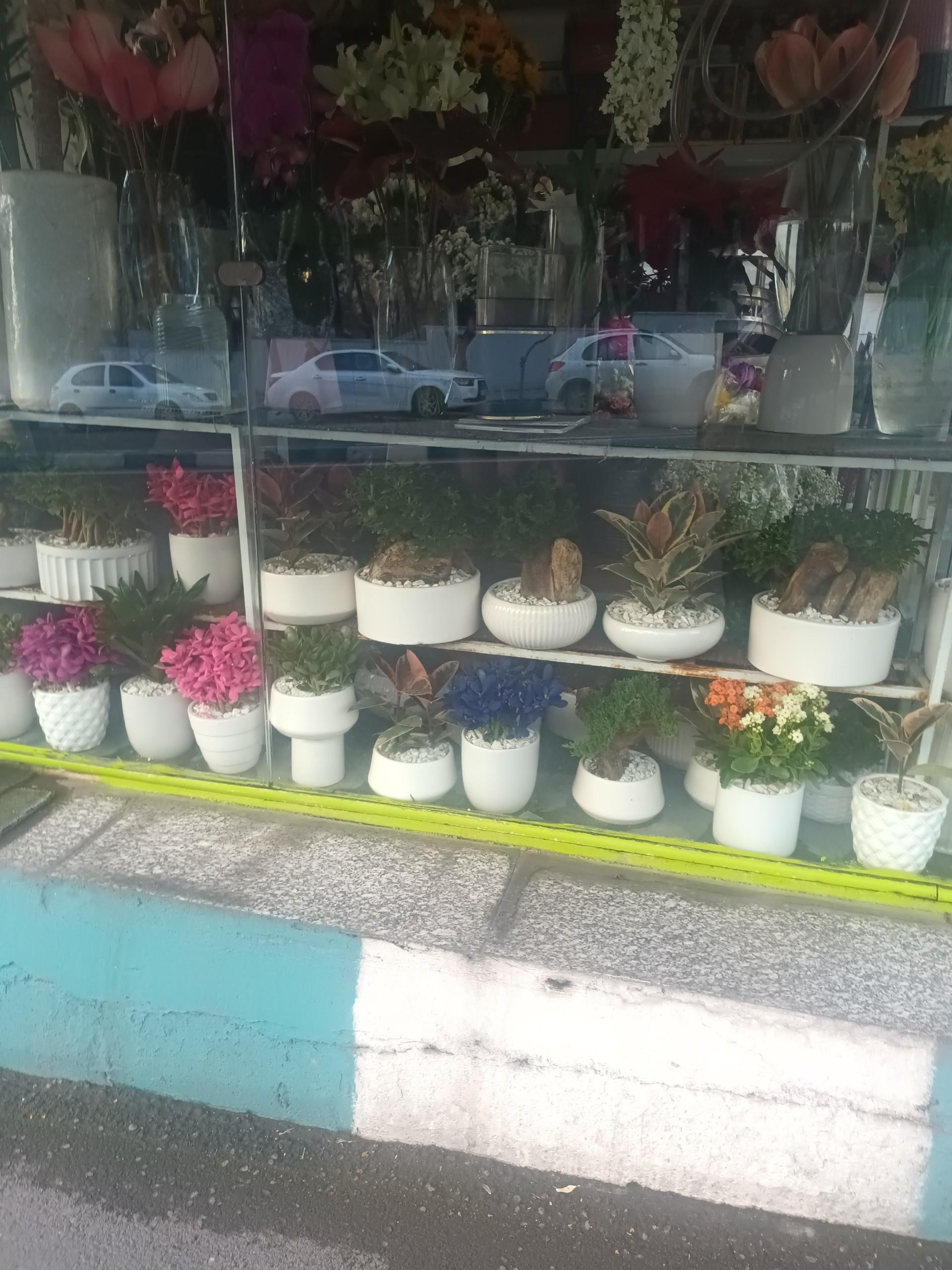 عکس کیوسک گل فروشی